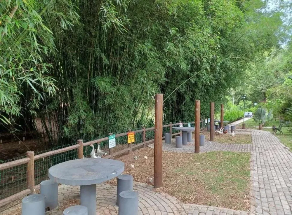 Terreno, 300 m² - Foto 4