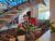 Chácara, 5 quartos, 2500 m² - Foto 44