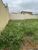 Terreno, 250 m² - Foto 1