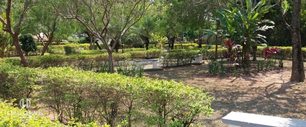 Apartamento, 3 quartos, 64 m² - Foto 20