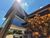 Chácara, 4 quartos, 2500 m² - Foto 2