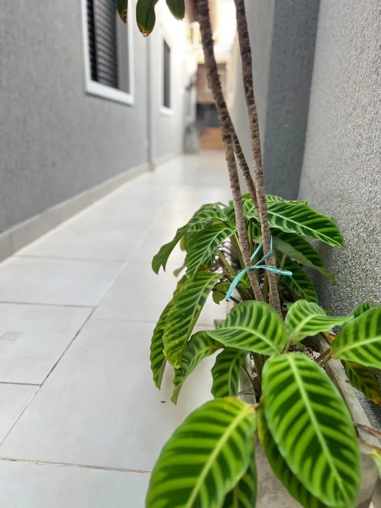 Casa, 1 quarto, 115 m² - Foto 7