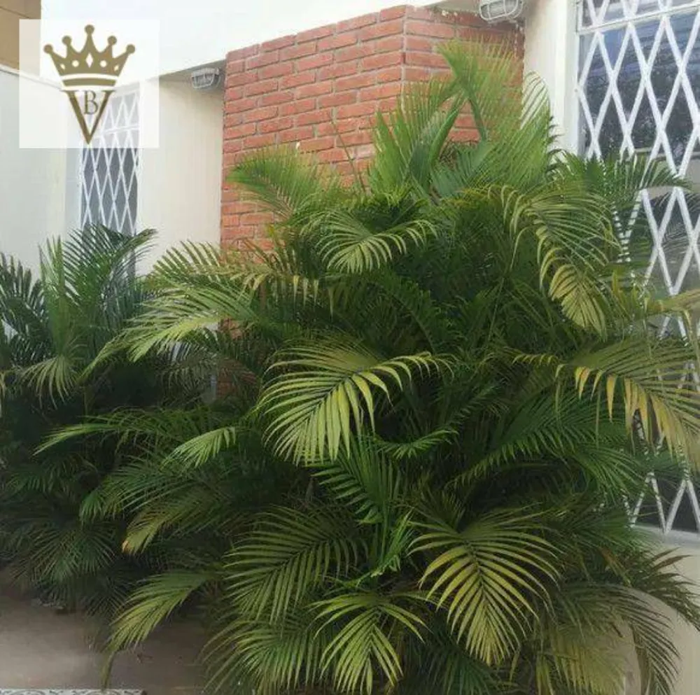 Sobrado, 3 quartos, 234 m² - Foto 7