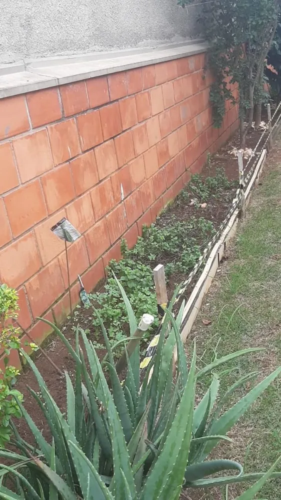 Casa, 3 quartos, 250 m² - Foto 4