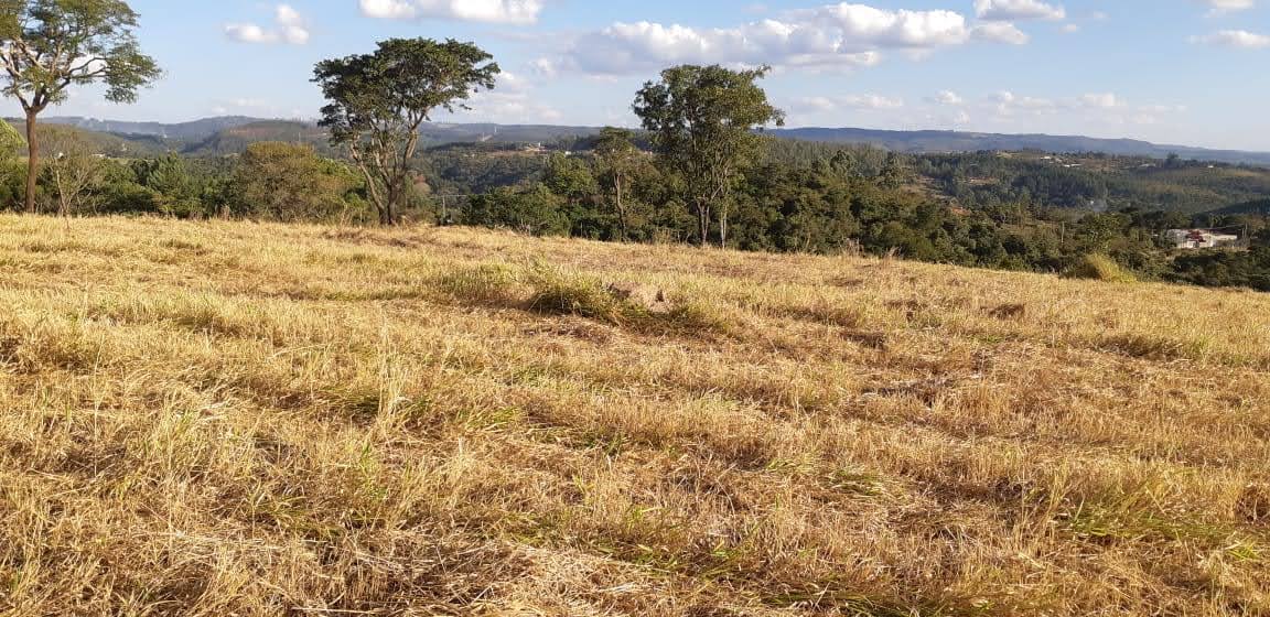 Terreno à venda, 1000m² - Foto 1