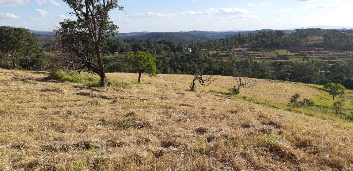 Terreno à venda, 1000m² - Foto 4