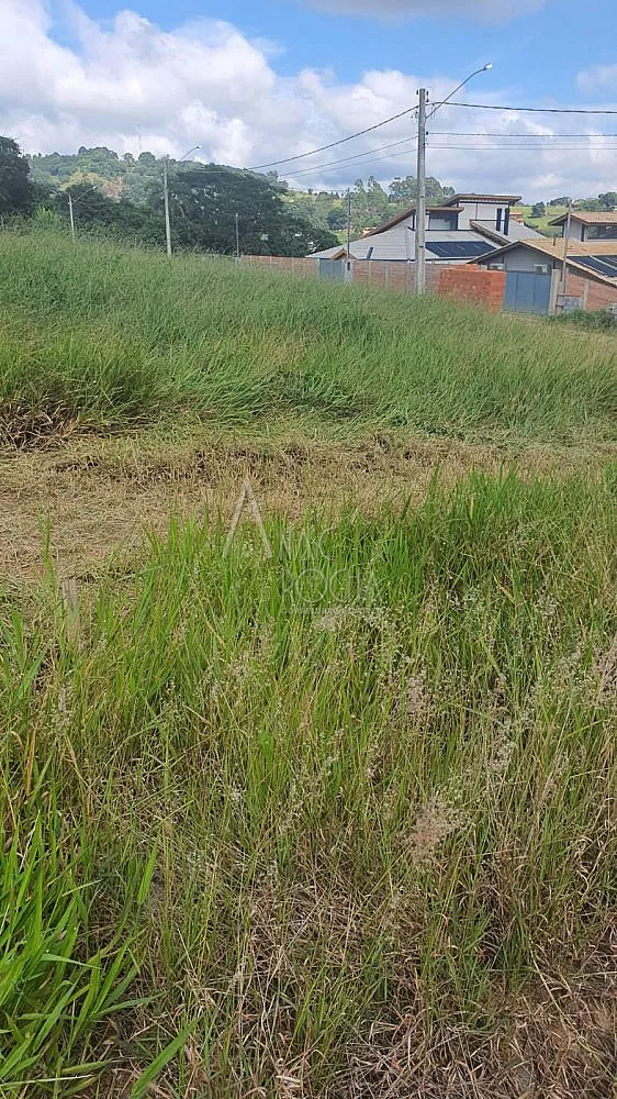 Terreno, 1038 m² - Foto 3
