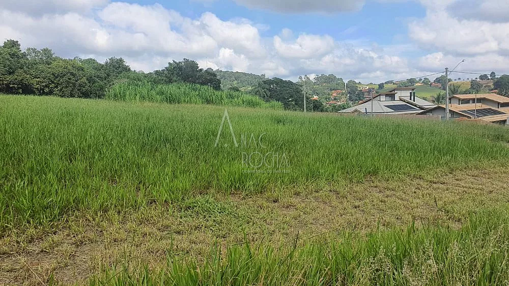 Terreno, 1038 m² - Foto 4