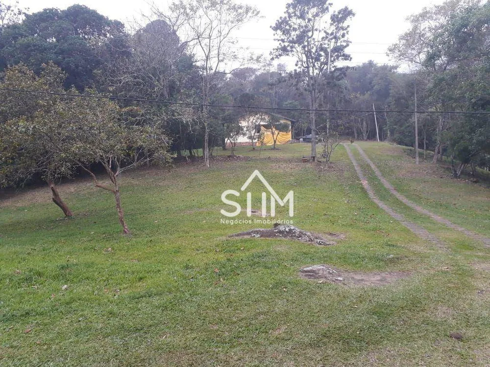 Terreno, 4 hectares - Foto 4