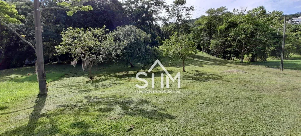 Terreno, 4 hectares - Foto 1