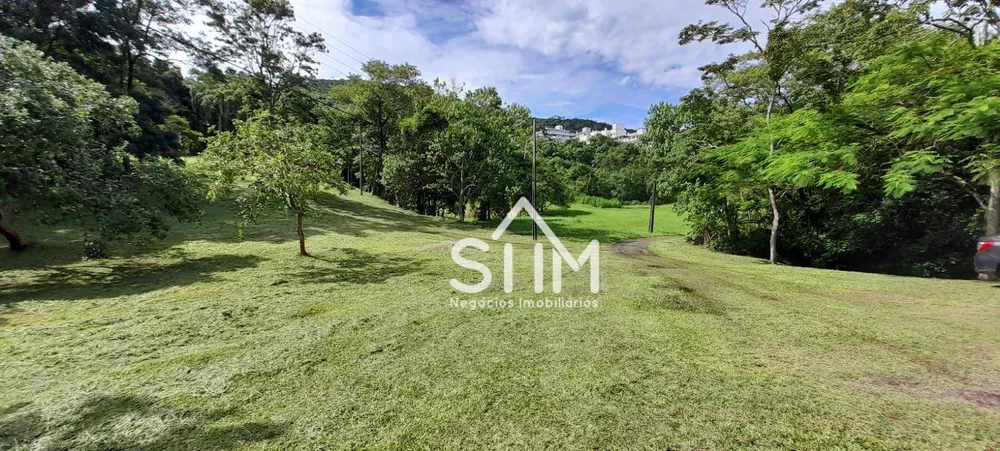 Terreno, 4 hectares - Foto 2
