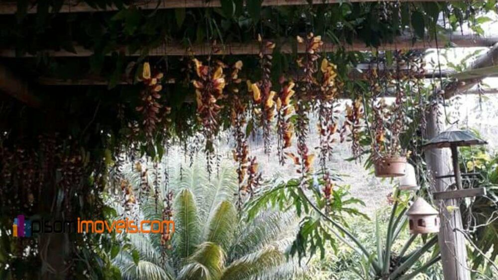 Chácara, 1 hectares - Foto 5