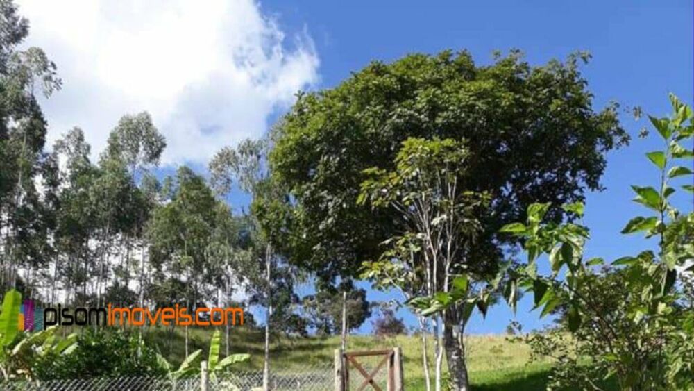 Chácara, 1 hectares - Foto 13