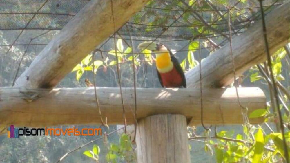 Chácara, 1 hectares - Foto 18