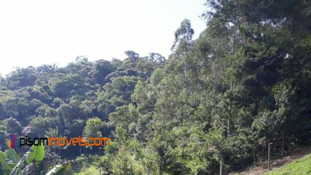 Chácara, 1 hectares - Foto 14