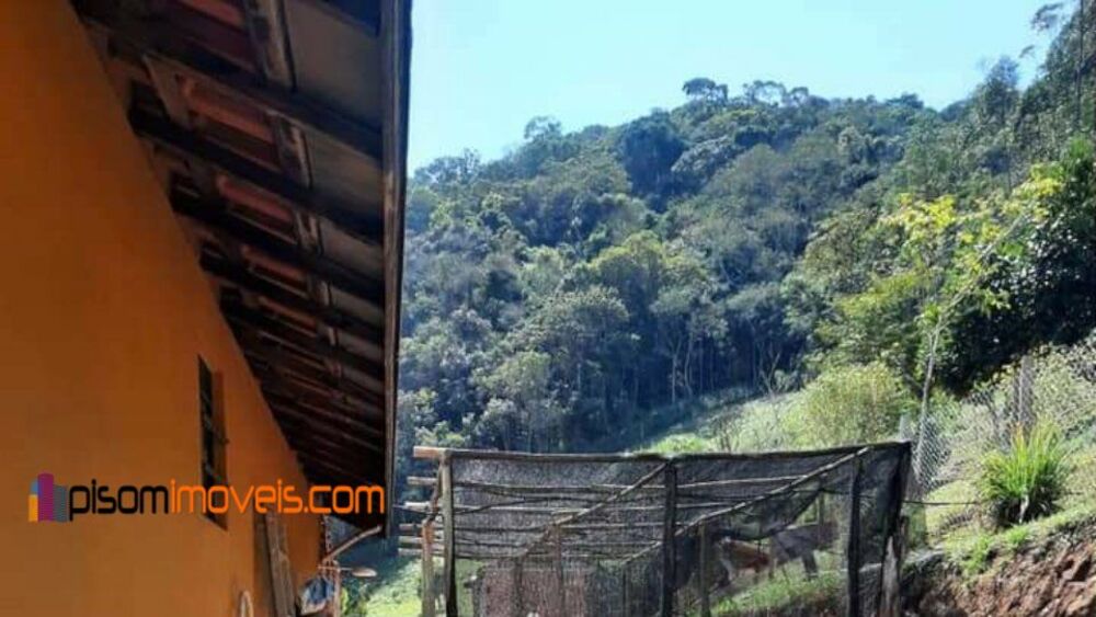 Chácara, 1 hectares - Foto 4