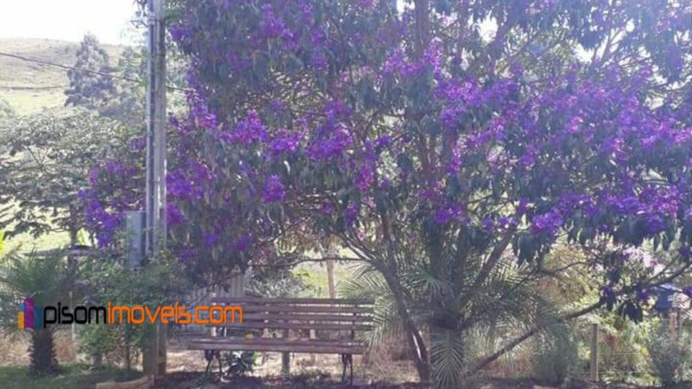 Chácara, 1 hectares - Foto 8