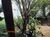 Terreno, 450 m² - Foto 4