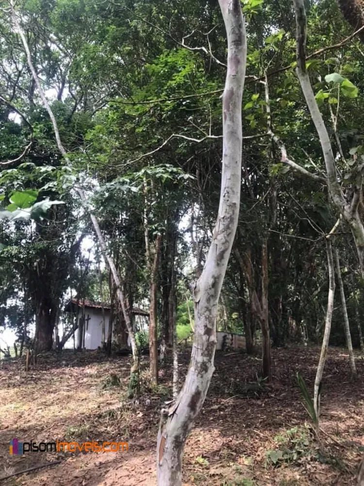 Chácara, 4 quartos, 2 hectares - Foto 20