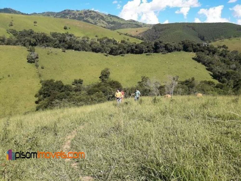 Terreno, 35 hectares - Foto 4