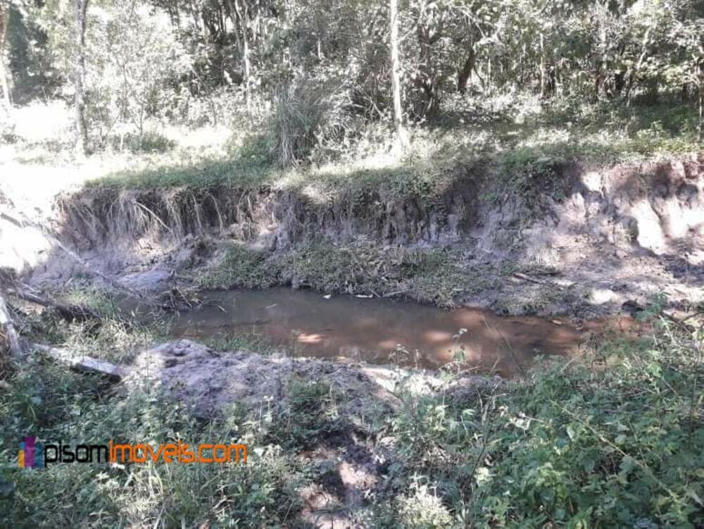 Terreno, 35 hectares - Foto 1