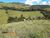 Terreno, 35 hectares - Foto 4