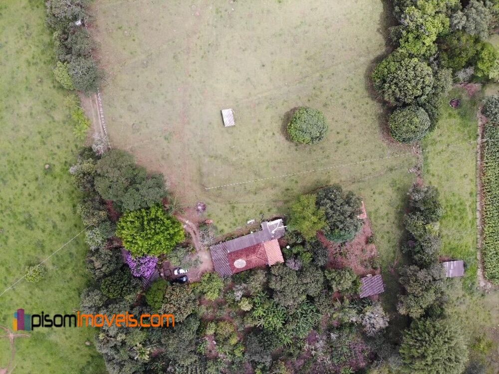 Sítio, 4 quartos, 3 hectares - Foto 5