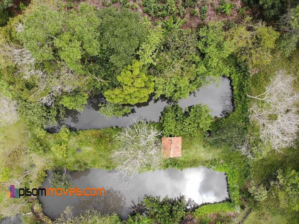 Sítio, 4 quartos, 3 hectares - Foto 3