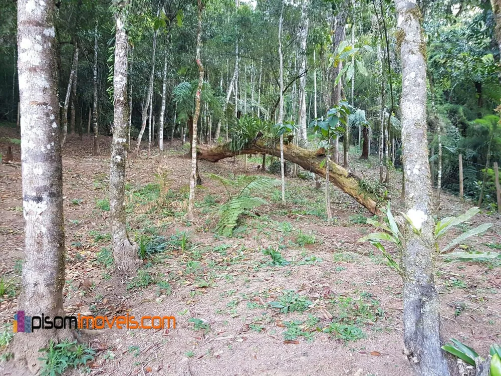 Terreno, 1200 m² - Foto 8