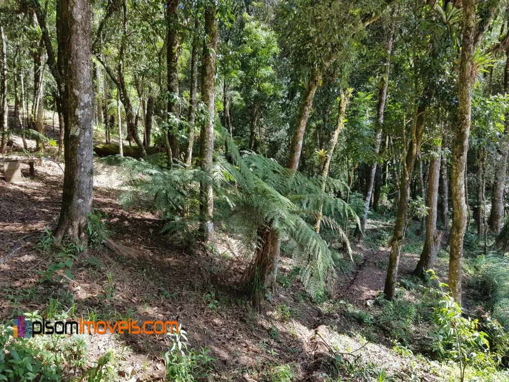 Terreno, 1200 m² - Foto 11