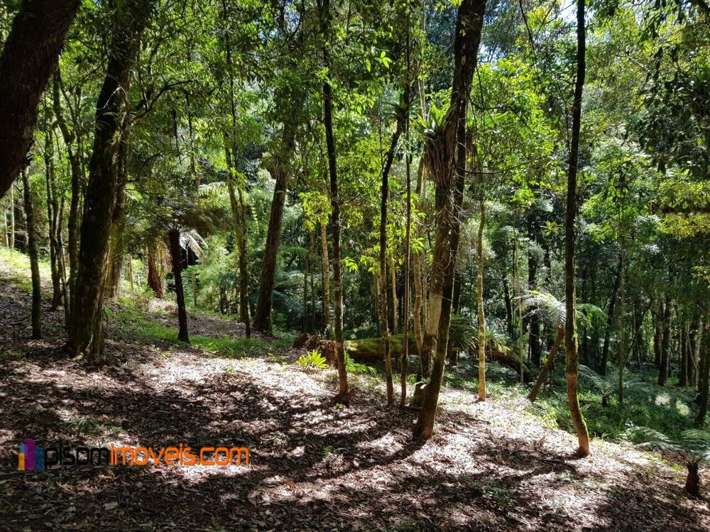 Terreno, 1200 m² - Foto 4
