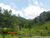Terreno, 41 hectares - Foto 4