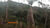 Terreno, 41 hectares - Foto 6