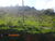 Terreno, 41 hectares - Foto 1