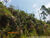 Terreno, 41 hectares - Foto 12