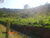 Terreno, 41 hectares - Foto 2