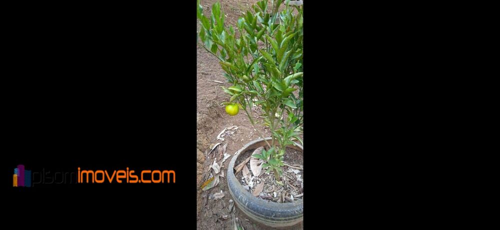 Terreno, 7900 m² - Foto 8