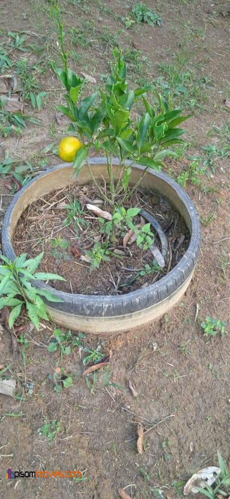 Terreno, 7900 m² - Foto 9