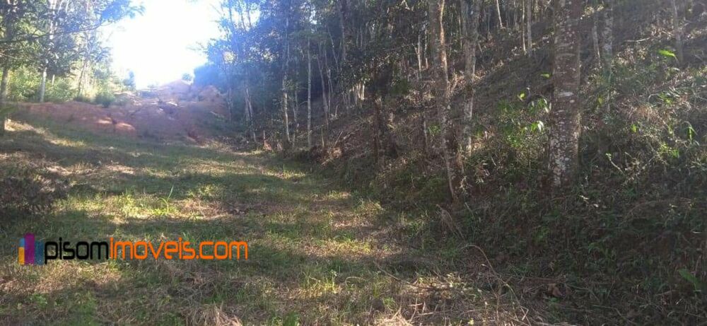 Terreno, 7900 m² - Foto 5