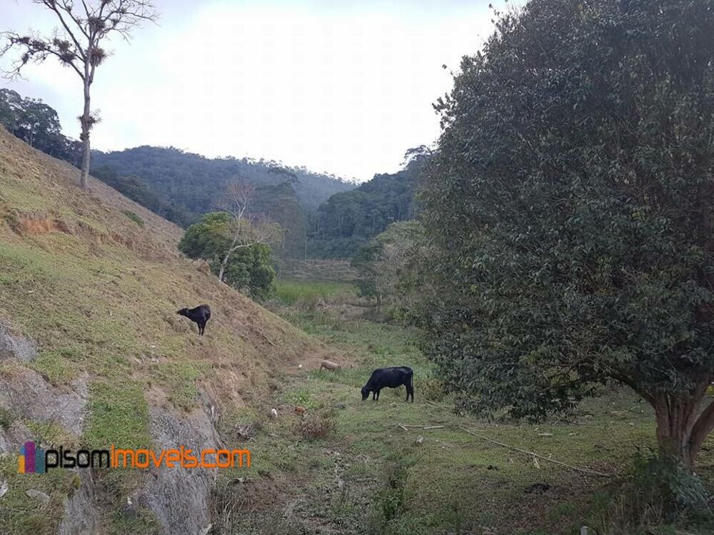 Sítio, 24 hectares - Foto 13