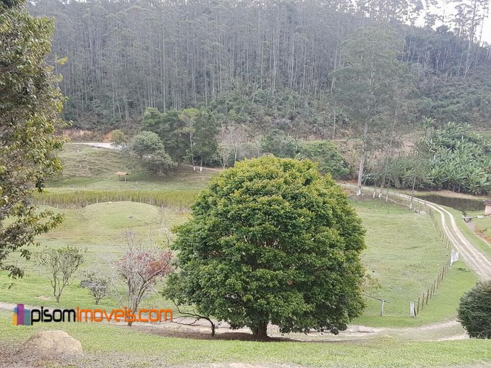 Sítio, 24 hectares - Foto 12