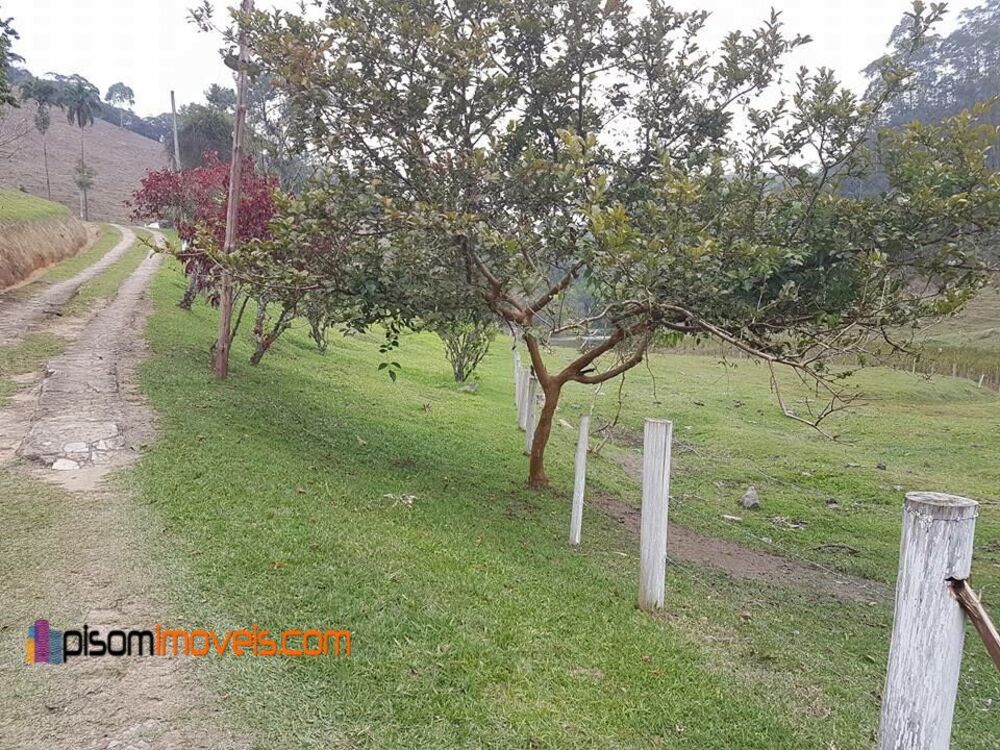 Sítio, 24 hectares - Foto 15