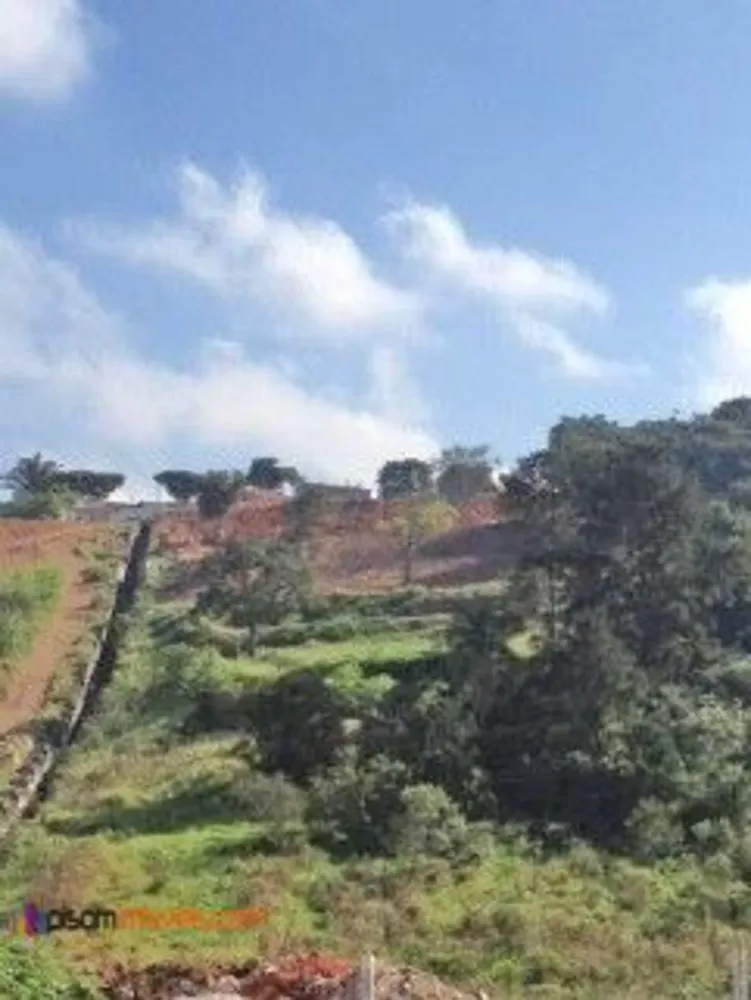 Terreno, 8 hectares - Foto 13