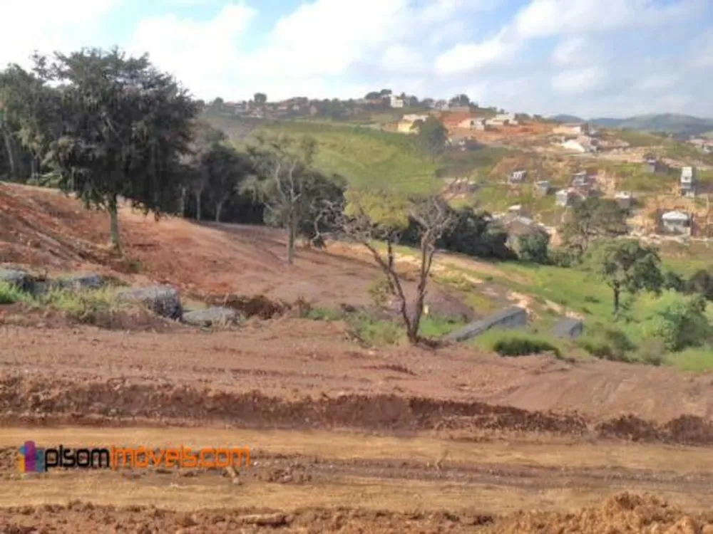 Terreno, 8 hectares - Foto 3
