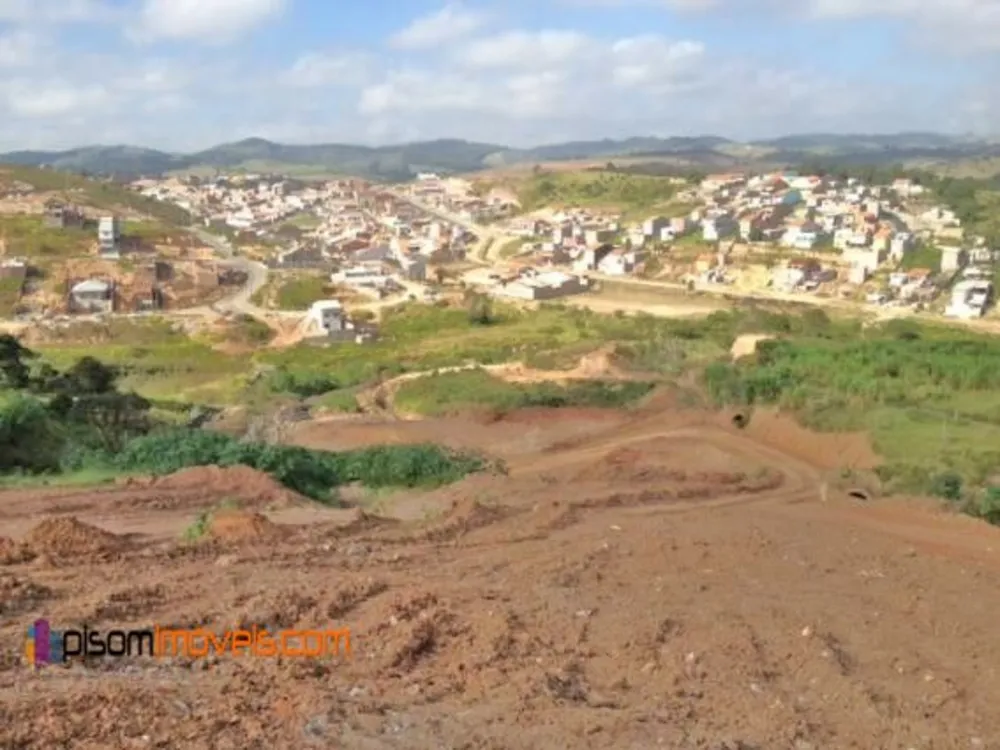 Terreno, 8 hectares - Foto 10