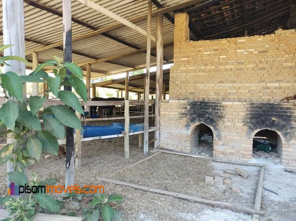 Terreno, 51 hectares - Foto 3