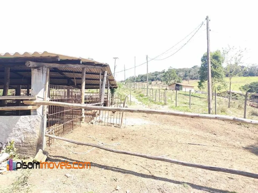 Terreno, 51 hectares - Foto 1