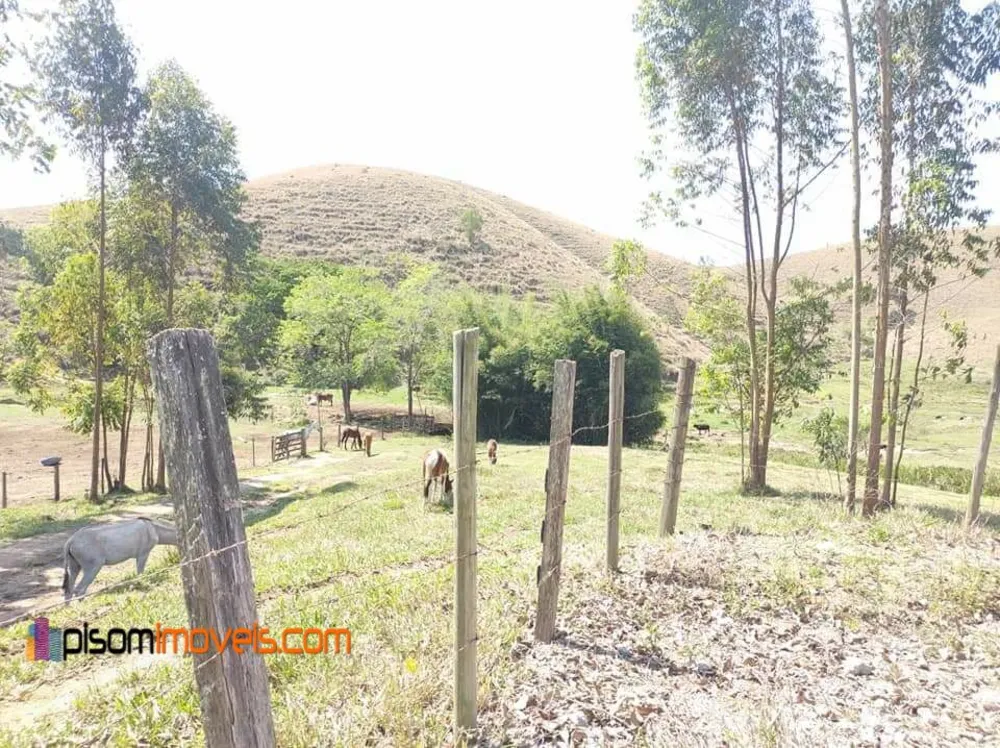 Terreno, 51 hectares - Foto 9