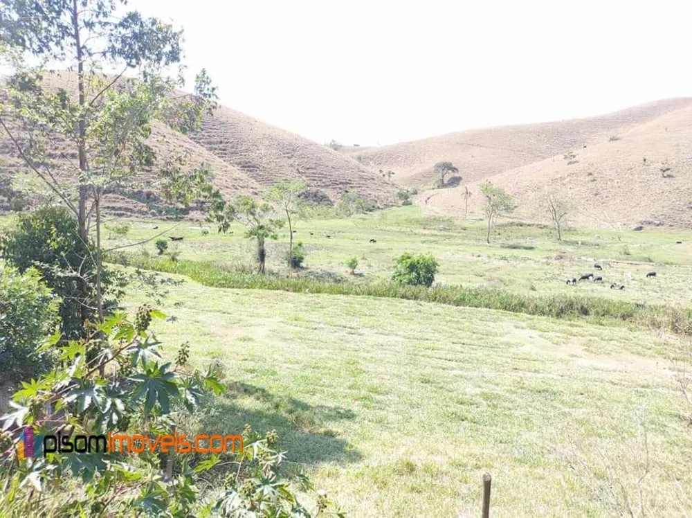 Terreno, 51 hectares - Foto 13
