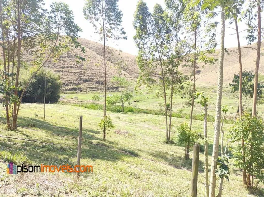 Terreno, 51 hectares - Foto 10